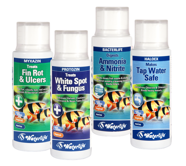 Fin rot & Uicers, White spot & Fungus, Ammonia & Nitrite, Tap water safe 4 bottles of waterlife products