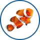 Waterlife fish icon marine